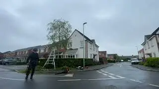 Crown Reduction - Tree Cut Manchester