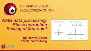NMR data processing: Phase correction, Scaling of first point