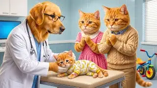 Mama Cat Trims Fur on the Farm and Makes Tiger Hat For Kittens At Home 🐾🎩🐯