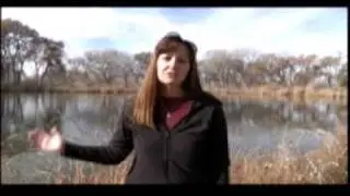 USACE, Albuquerque Rio Grande Restoration Project