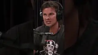 Theo Von Opens Up With Joe Rogan ❤️&zwj;🩹