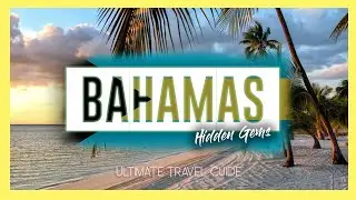 BAHAMAS 🇧🇸 | 10 Amazing Things to do