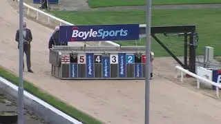 Pestana&rsquo;s track record breaking run at shelbourne park winning in 28.99 and newinn Taylor in 2nd