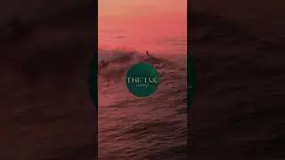THE LUC LIFESTYLE SOFT LAUNCHING