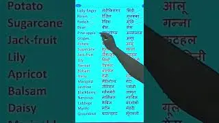 #shorteducationalvideos