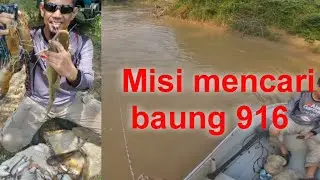 Besor bass. Misi memburu baung 916.