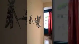 NEW HOSTEL REVIEW, PROBLEMS AGAIN!