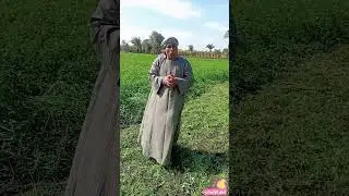 مركز ابوتشت وفرشوط تاريخ قراء ابوتشت وفرشوط تاريخ عندما اتحدث عن التاريخ بيت الدربى #هشتاج #متابعه