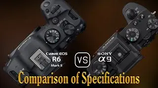 Canon EOS R6 Mark II vs. Sony A9: A Comparison of Specifications