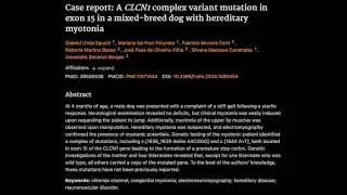 23. A CLCN1 complex variant mutation in exon 15 in a mixed-breed dog with hereditary myotonia