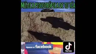 CAÑITA BRAVA 2022 ,CON EL TRALALA