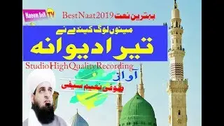 Best Naat Of 2019 | Menu Log Kenday Nay Tera Dewna | Sufi Naeem Saifi Official Video