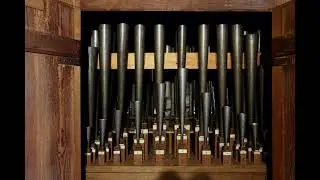 Sergej Tcherpanov plays Praetorius, Scheidemann and L&uuml;beck at the 1687 Steinkirchen Schnitger organ