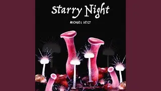 Starry Nights
