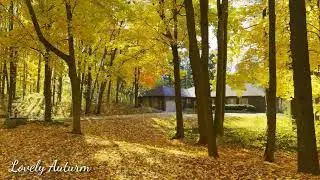 Lovely Auturm 25111