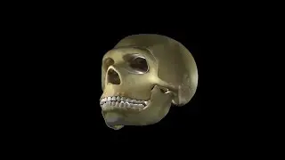 Reconstruction of the Neanderthal skull La Chapelle-aux-Saints 1 Реконструкция череп неандертальца