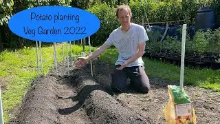 Planting Main Crop Seed Potatoes | Episode 11