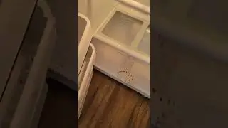 An Angry Mess 😅 #housecleaning #messy #professionalcleaners #crazy #funny #cake