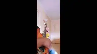 Jim Laventure-Cafrine de miel (Cover)
