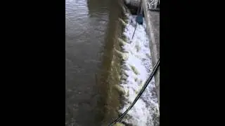Busse Woods Dam Gate Testing