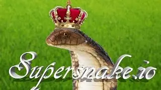 KNEEL TO THE SNAKE KING | Supersnake.io