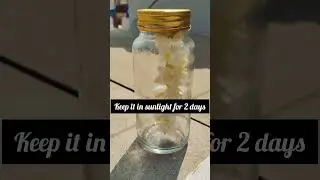 How to make Jasmine perfume at home  #shorts #trending #diy #viralvideo #ashortaday