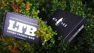 MTB vs LTB unboxing Feb 2016