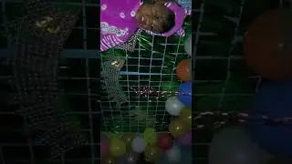 yt studio setting YouTube channel video ankaj kumar singh latehar Jharkhand barwadih 9334551242