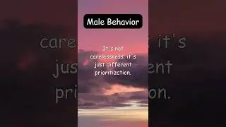 Decoding Male Behaviors: What They Really Mean