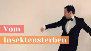 Marco Tschirpke: VOM INSEKTENSTERBEN (Lapsuslied)