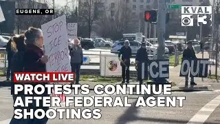 Protests continue in Eugene over recent shootings by federal agents