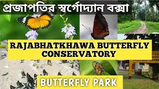 প্রজাপতির স্বর্গোদ্যান বক্সা | প্রজাপতি পার্ক| Butterfly Conservatory | Butterfly Park |Dooars Dairy