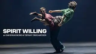 Spirit willing, av David Raymond och Tiffany Tregarthen