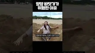 양양에 괴물 출현 (2마리;;)