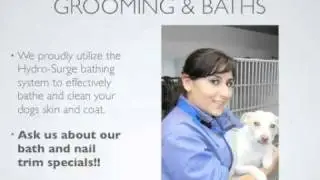 Madison Veterinary Hospital Quick Tour