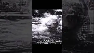 @UnknownTricks.