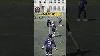 Polish cricket players are INSANE 🔥 #cricket #sports #shorts