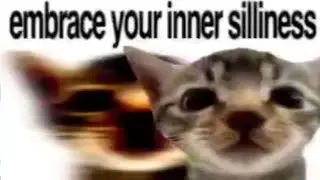 Are you being sillius right meow?