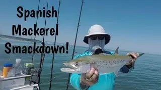 Spanish Mackerel Fishing in Tampa Bay, Tackle Recommendations and Basics for Rod, Reel, and Line