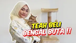 TEAH BELI BENGAL BUTA !! - BAIK NYAA !