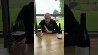 2022 Scotchmans Hill Pinot Noir