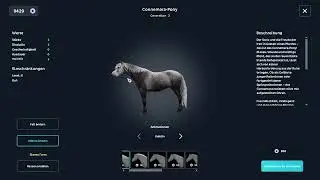 Horseman Reacts to the Connemara!