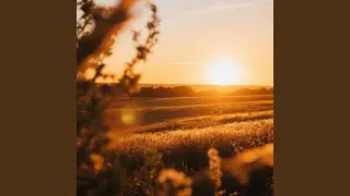 Golden Hour