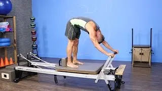 Elephant on Reformer Preview