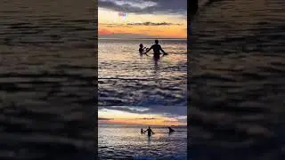 Watch a sea lion join pair of cold plungers in water off Vancouver Island