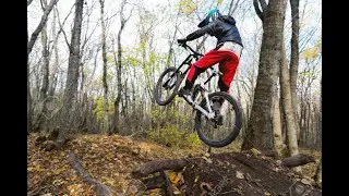 PARTIE 3 TREMPLIN DANS UNE FORET