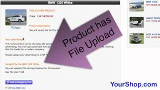 Allow File Upload