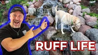 *BACKYARD WATERFALL* with Remote Control!