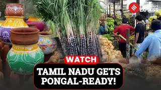 Pongal Fever Grips Tamil Nadu Markets As Demand Of Traditional Items Surge | Pongal Celebrations