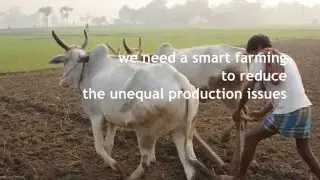 Tambero.com Dairy & Cattle Management